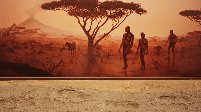Olduvai Gorge: Oldest Evidence of Mankind's Evolution